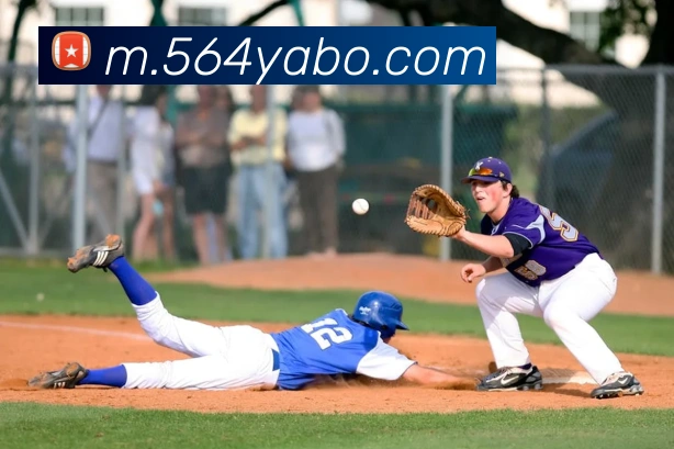 登录器